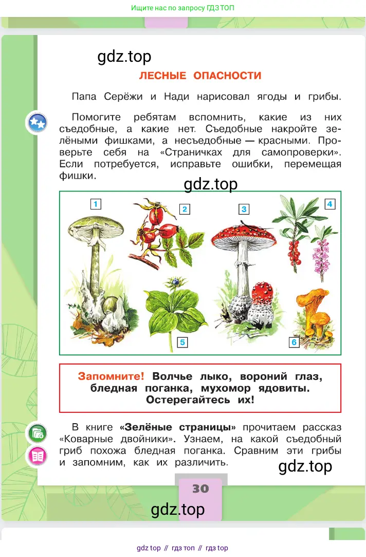 Окружающий мир, 2 класс Учебник, автор: Плешаков Андрей Анатольевич, издательство Просвещение, Москва, 2023, белого цвета, страница 30