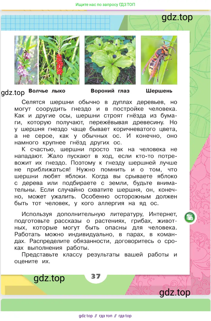 Окружающий мир, 2 класс Учебник, автор: Плешаков Андрей Анатольевич, издательство Просвещение, Москва, 2023, белого цвета, страница 37