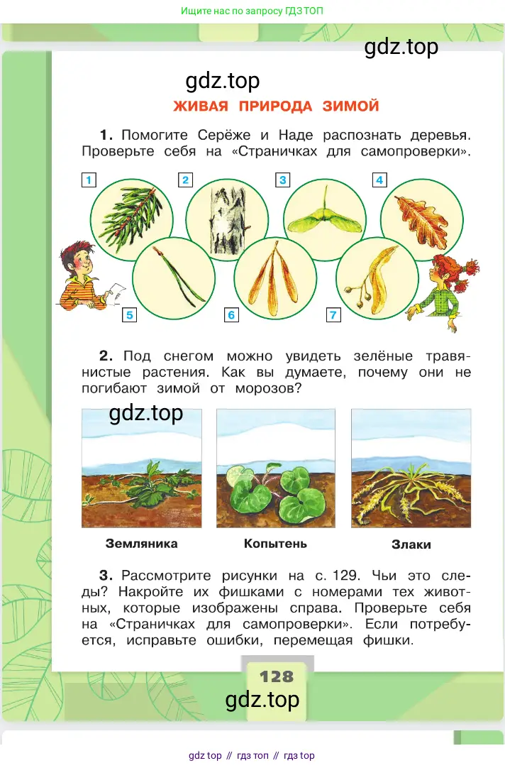 Окружающий мир, 2 класс Учебник, автор: Плешаков Андрей Анатольевич, издательство Просвещение, Москва, 2023, белого цвета, страница 128