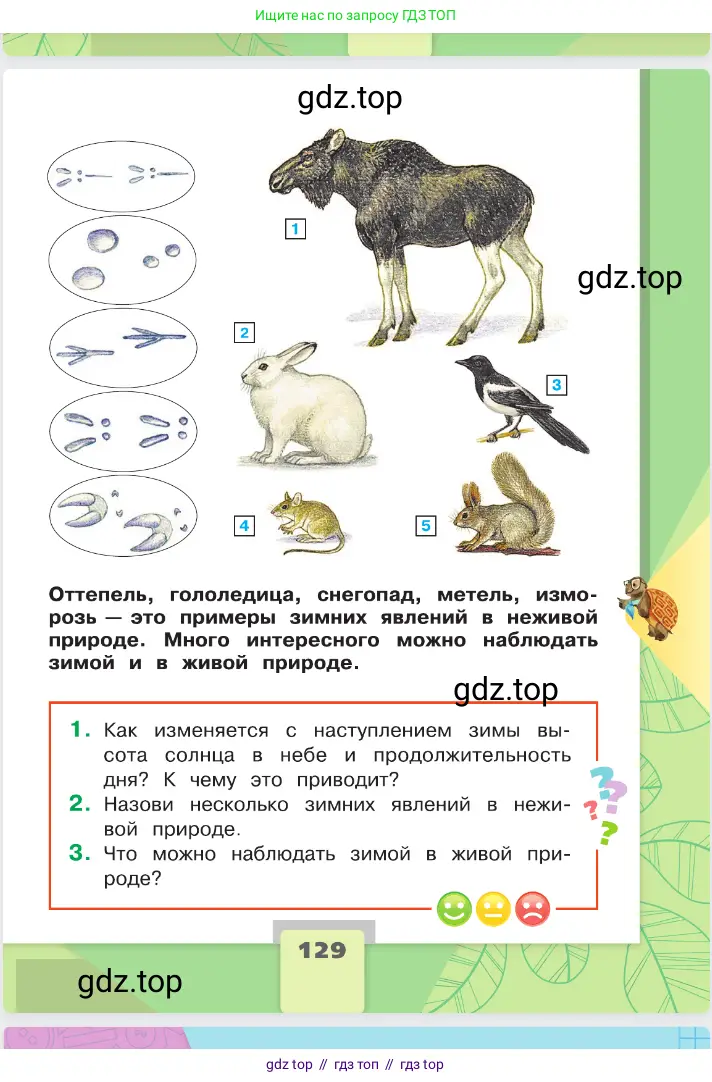 Окружающий мир, 2 класс Учебник, автор: Плешаков Андрей Анатольевич, издательство Просвещение, Москва, 2023, белого цвета, страница 129