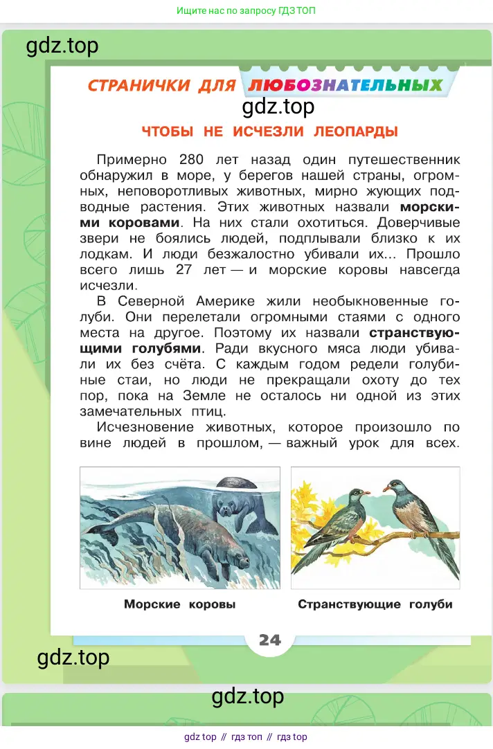 Окружающий мир, 2 класс Учебник, автор: Плешаков Андрей Анатольевич, издательство Просвещение, Москва, 2023, белого цвета, страница 24