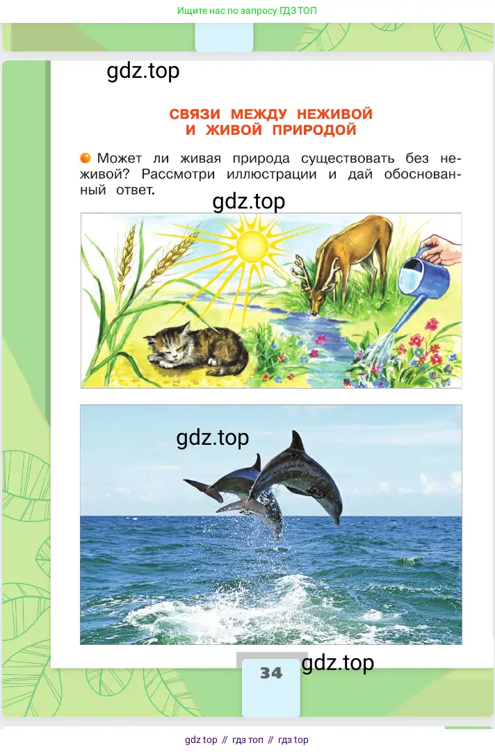 Окружающий мир, 2 класс Учебник, автор: Плешаков Андрей Анатольевич, издательство Просвещение, Москва, 2023, белого цвета, страница 34