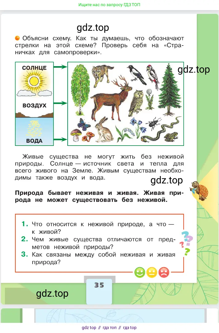 Окружающий мир, 2 класс Учебник, автор: Плешаков Андрей Анатольевич, издательство Просвещение, Москва, 2023, белого цвета, страница 35