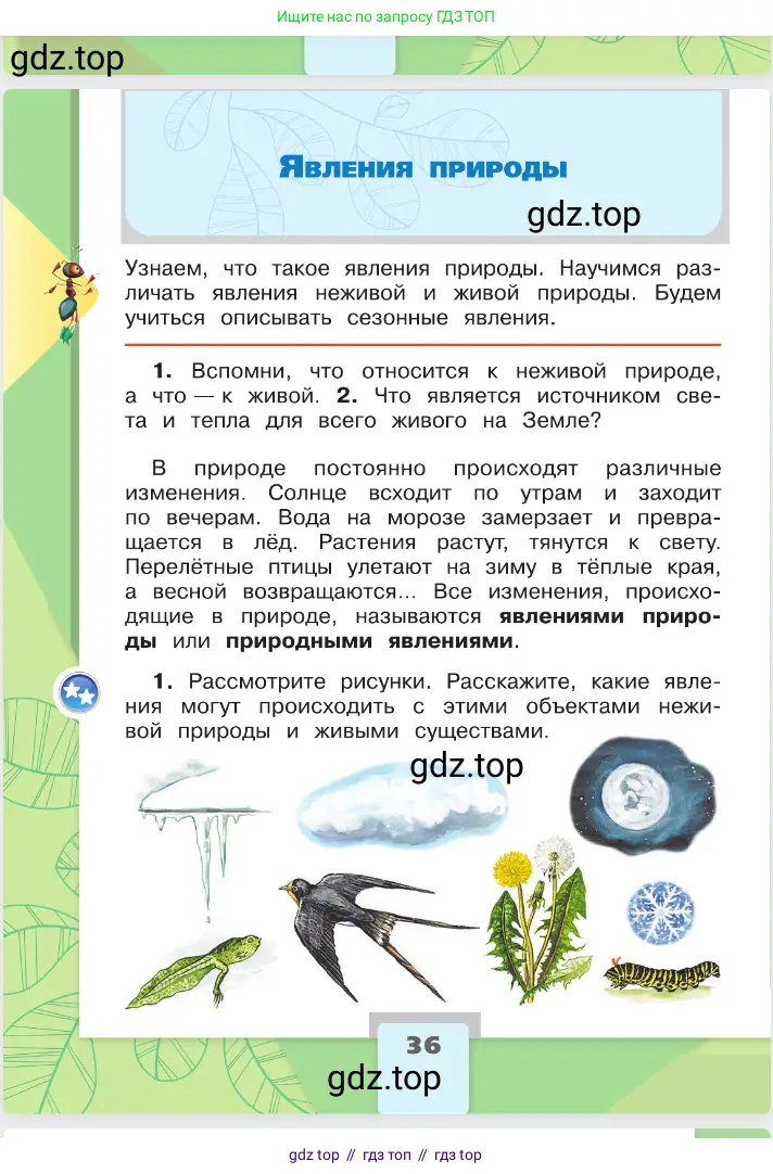 Окружающий мир, 2 класс Учебник, автор: Плешаков Андрей Анатольевич, издательство Просвещение, Москва, 2023, белого цвета, Часть 1, страница 36