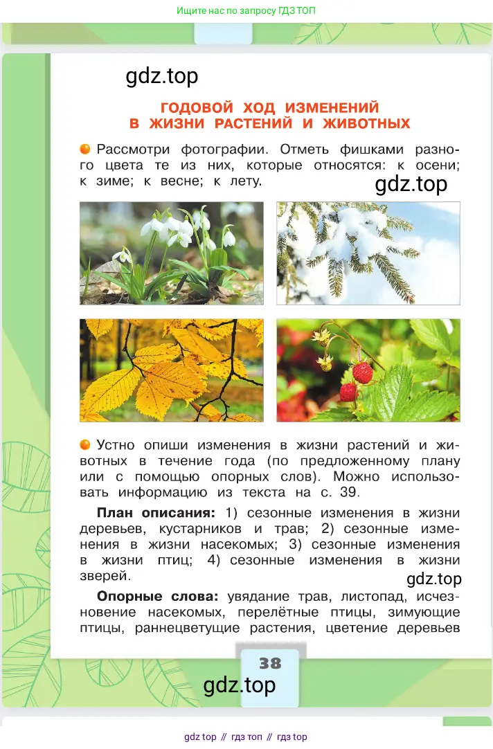 Окружающий мир, 2 класс Учебник, автор: Плешаков Андрей Анатольевич, издательство Просвещение, Москва, 2023, белого цвета, страница 38