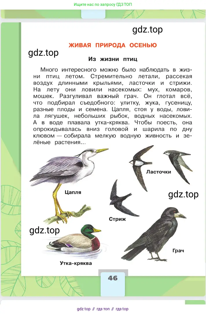 Окружающий мир, 2 класс Учебник, автор: Плешаков Андрей Анатольевич, издательство Просвещение, Москва, 2023, белого цвета, страница 46