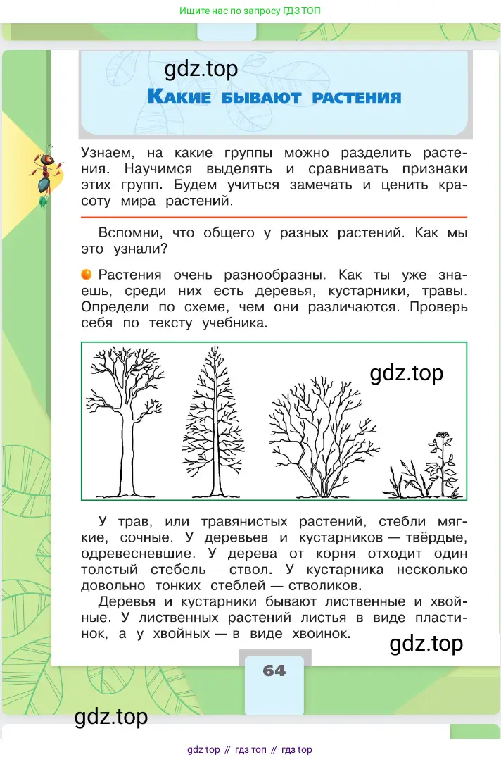 Окружающий мир, 2 класс Учебник, автор: Плешаков Андрей Анатольевич, издательство Просвещение, Москва, 2023, белого цвета, Часть 1, страница 64