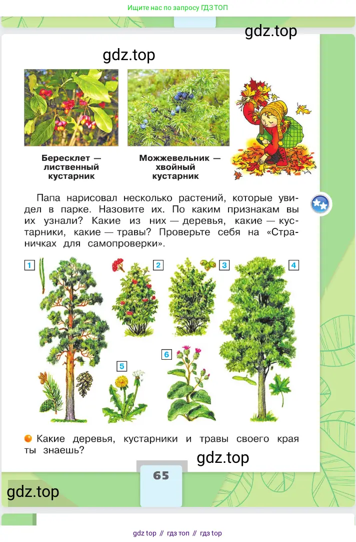 Окружающий мир, 2 класс Учебник, автор: Плешаков Андрей Анатольевич, издательство Просвещение, Москва, 2023, белого цвета, страница 65