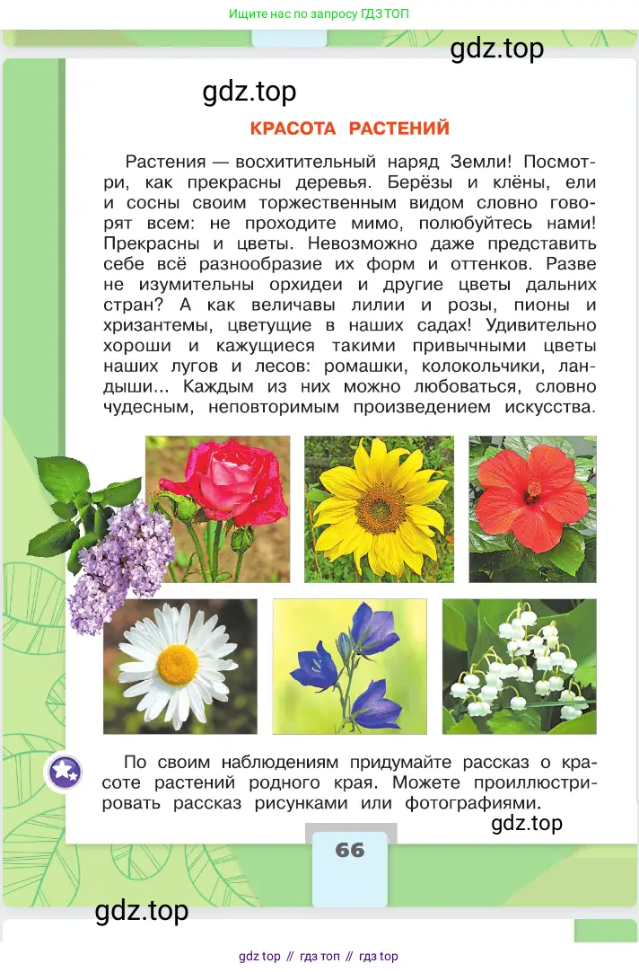Окружающий мир, 2 класс Учебник, автор: Плешаков Андрей Анатольевич, издательство Просвещение, Москва, 2023, белого цвета, страница 66