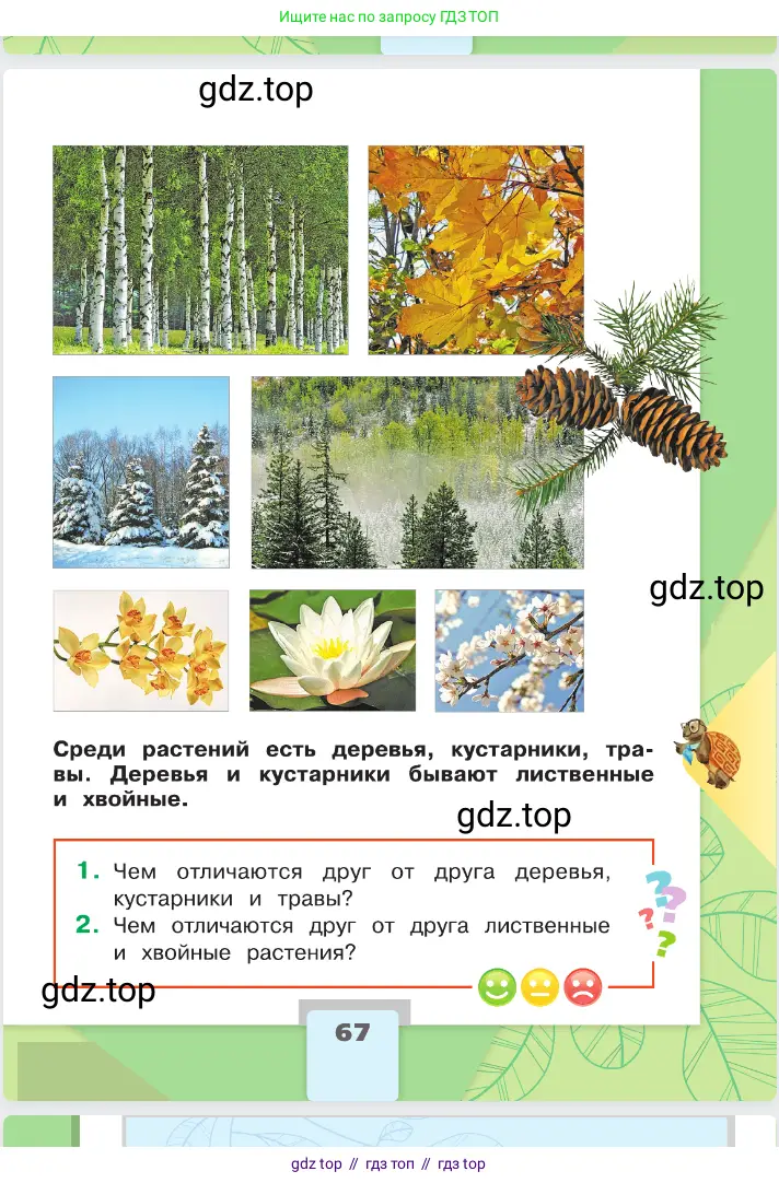 Окружающий мир, 2 класс Учебник, автор: Плешаков Андрей Анатольевич, издательство Просвещение, Москва, 2023, белого цвета, страница 67
