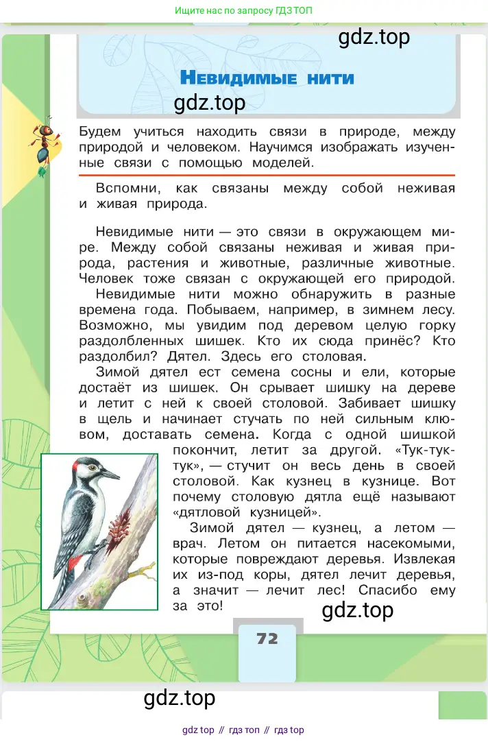 Окружающий мир, 2 класс Учебник, автор: Плешаков Андрей Анатольевич, издательство Просвещение, Москва, 2023, белого цвета, Часть 1, страница 72