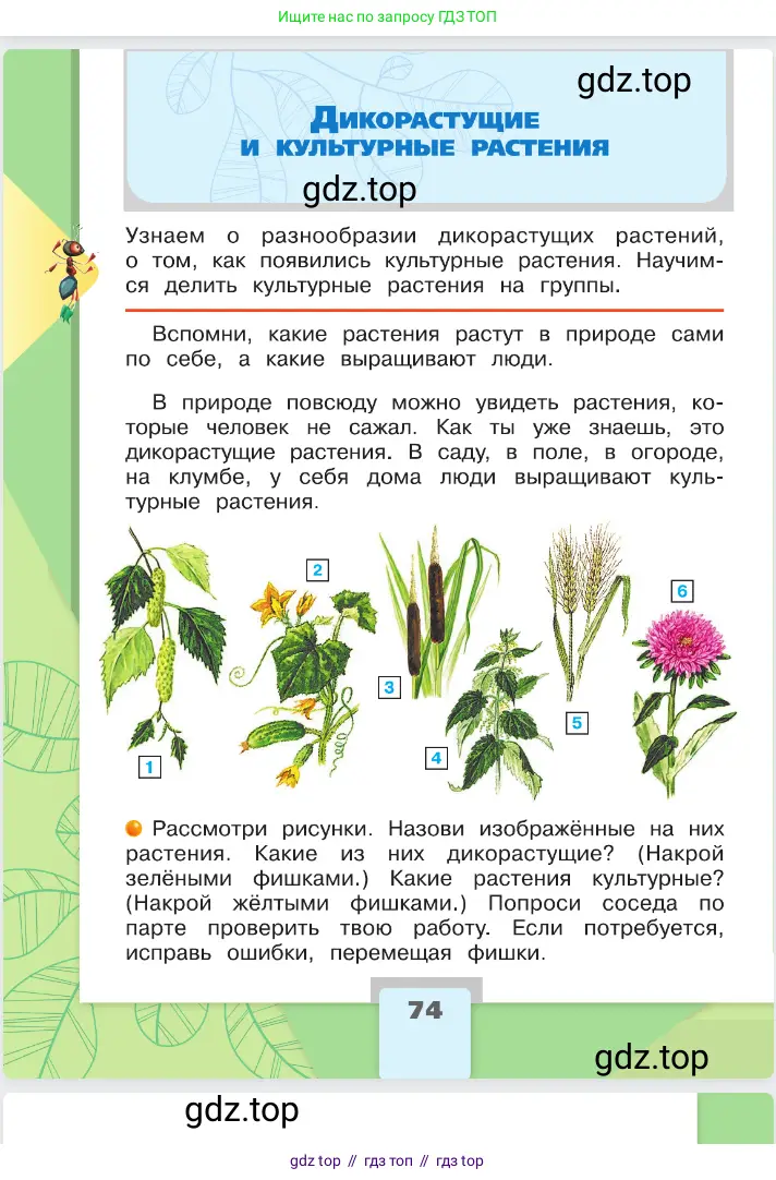 Окружающий мир, 2 класс Учебник, автор: Плешаков Андрей Анатольевич, издательство Просвещение, Москва, 2023, белого цвета, Часть 1, страница 74