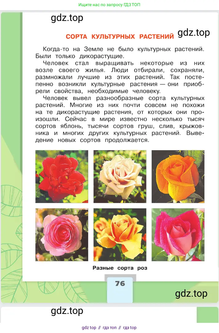 Окружающий мир, 2 класс Учебник, автор: Плешаков Андрей Анатольевич, издательство Просвещение, Москва, 2023, белого цвета, страница 76