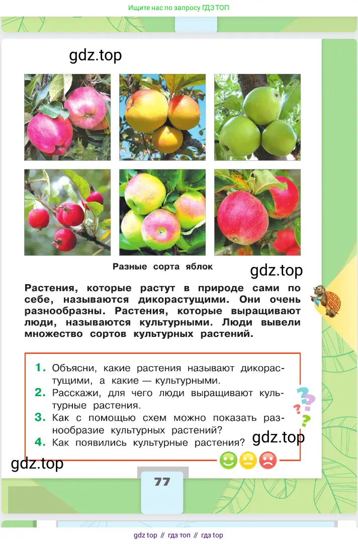 Окружающий мир, 2 класс Учебник, автор: Плешаков Андрей Анатольевич, издательство Просвещение, Москва, 2023, белого цвета, страница 77