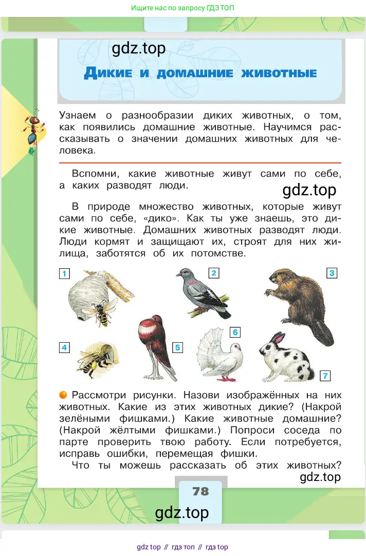 Окружающий мир, 2 класс Учебник, автор: Плешаков Андрей Анатольевич, издательство Просвещение, Москва, 2023, белого цвета, Часть 1, страница 78