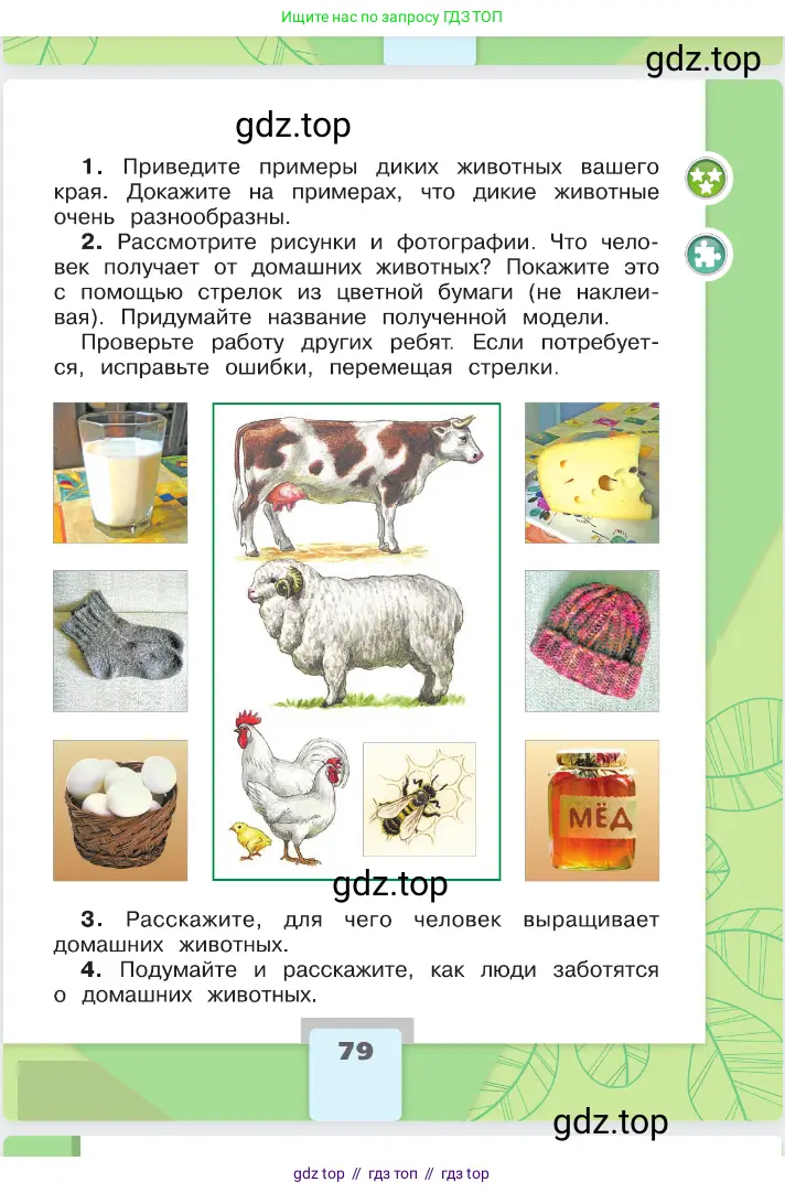 Окружающий мир, 2 класс Учебник, автор: Плешаков Андрей Анатольевич, издательство Просвещение, Москва, 2023, белого цвета, страница 79