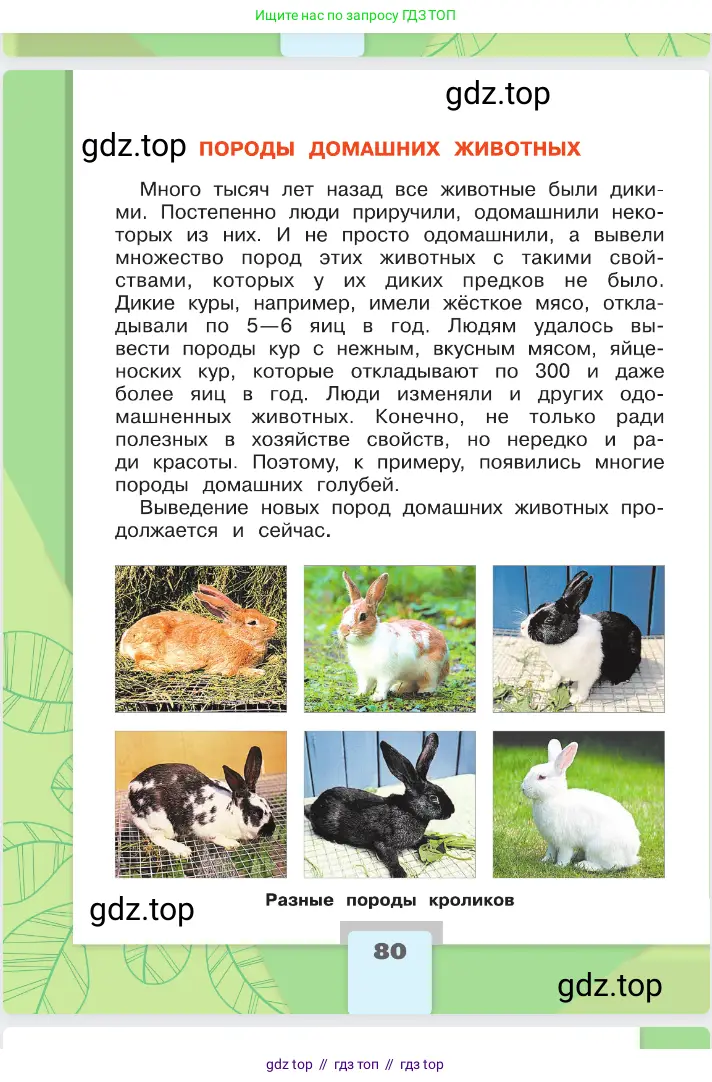 Окружающий мир, 2 класс Учебник, автор: Плешаков Андрей Анатольевич, издательство Просвещение, Москва, 2023, белого цвета, страница 80