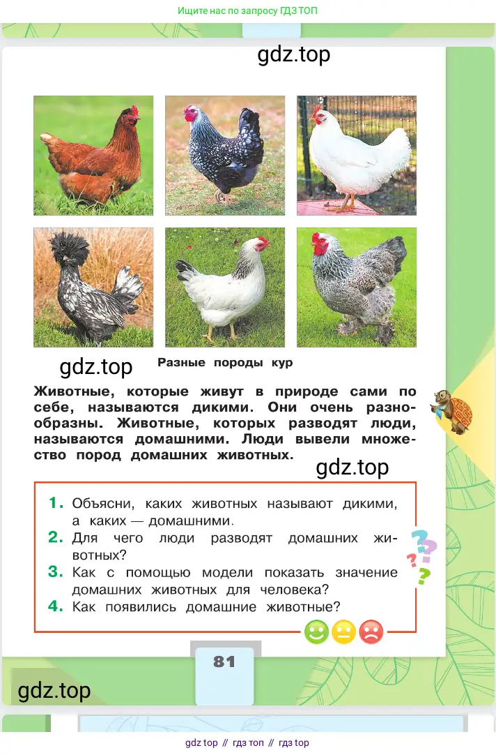 Окружающий мир, 2 класс Учебник, автор: Плешаков Андрей Анатольевич, издательство Просвещение, Москва, 2023, белого цвета, страница 81