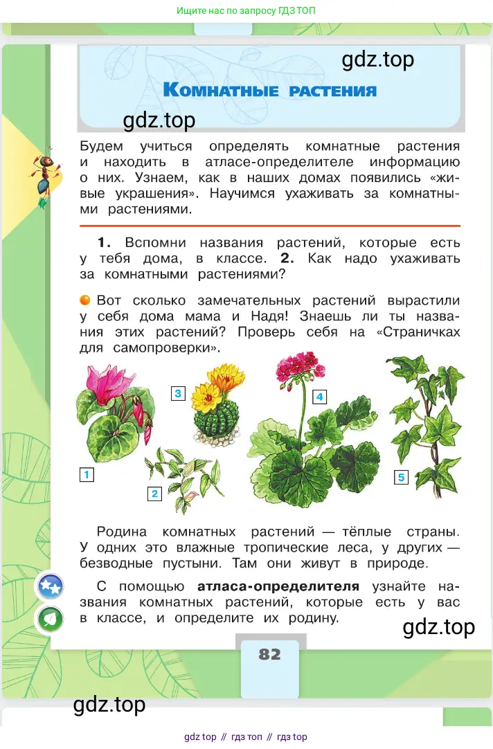 Окружающий мир, 2 класс Учебник, автор: Плешаков Андрей Анатольевич, издательство Просвещение, Москва, 2023, белого цвета, Часть 1, страница 82
