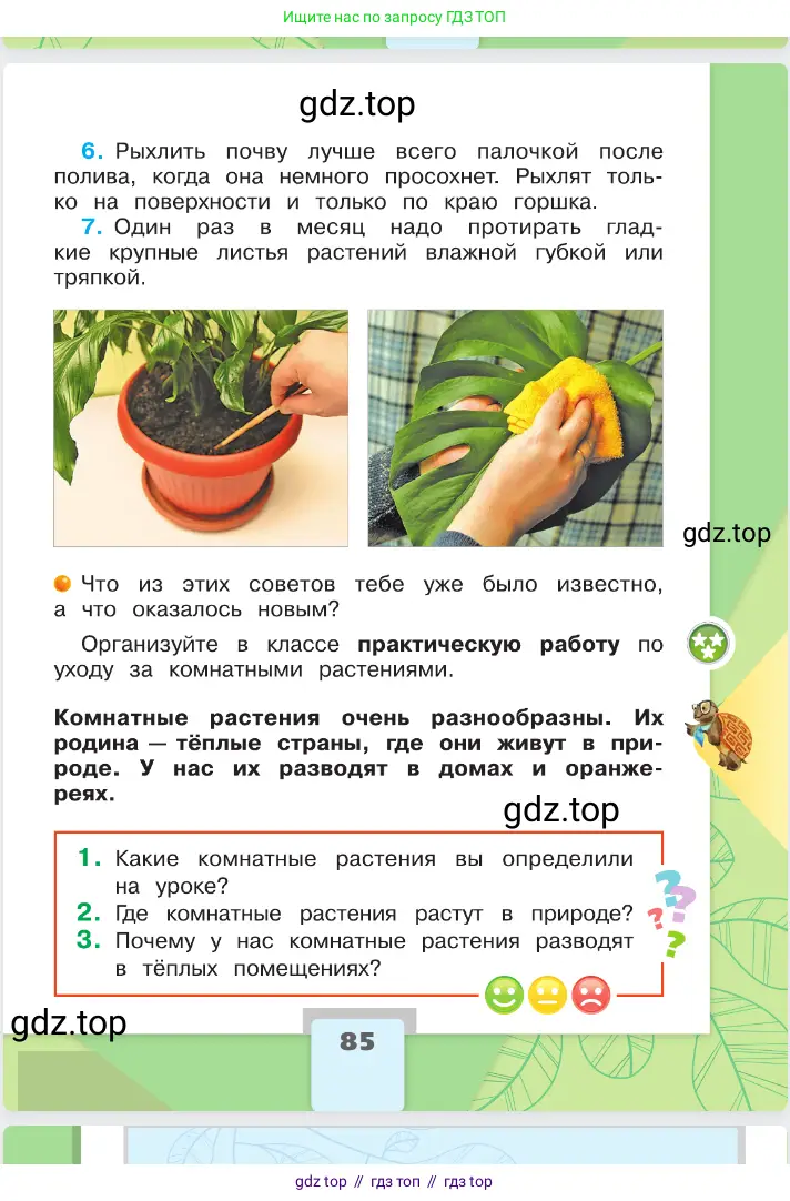 Окружающий мир, 2 класс Учебник, автор: Плешаков Андрей Анатольевич, издательство Просвещение, Москва, 2023, белого цвета, страница 85