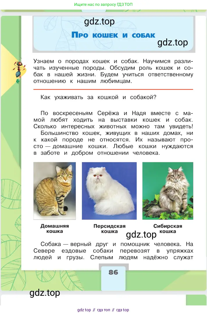Окружающий мир, 2 класс Учебник, автор: Плешаков Андрей Анатольевич, издательство Просвещение, Москва, 2023, белого цвета, Часть 1, страница 86