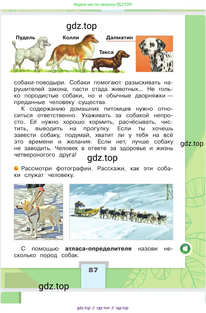 Окружающий мир, 2 класс Учебник, автор: Плешаков Андрей Анатольевич, издательство Просвещение, Москва, 2023, белого цвета, страница 87