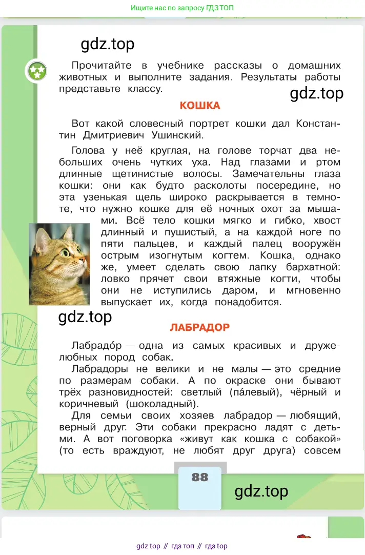 Окружающий мир, 2 класс Учебник, автор: Плешаков Андрей Анатольевич, издательство Просвещение, Москва, 2023, белого цвета, страница 88