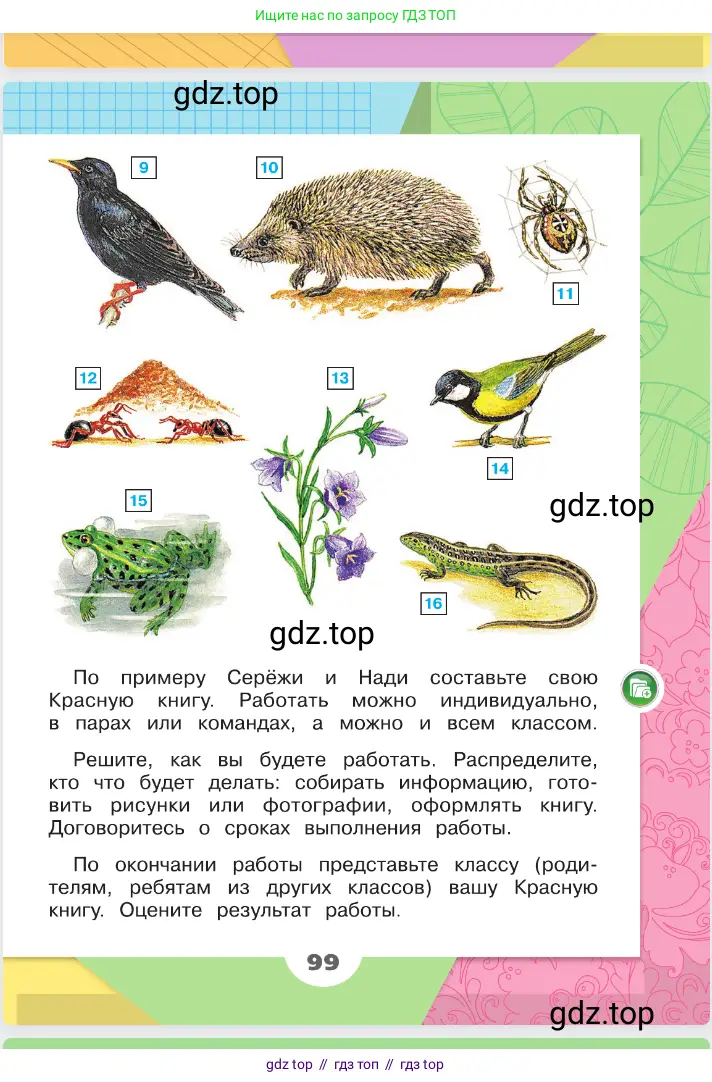 Окружающий мир, 2 класс Учебник, автор: Плешаков Андрей Анатольевич, издательство Просвещение, Москва, 2023, белого цвета, страница 99