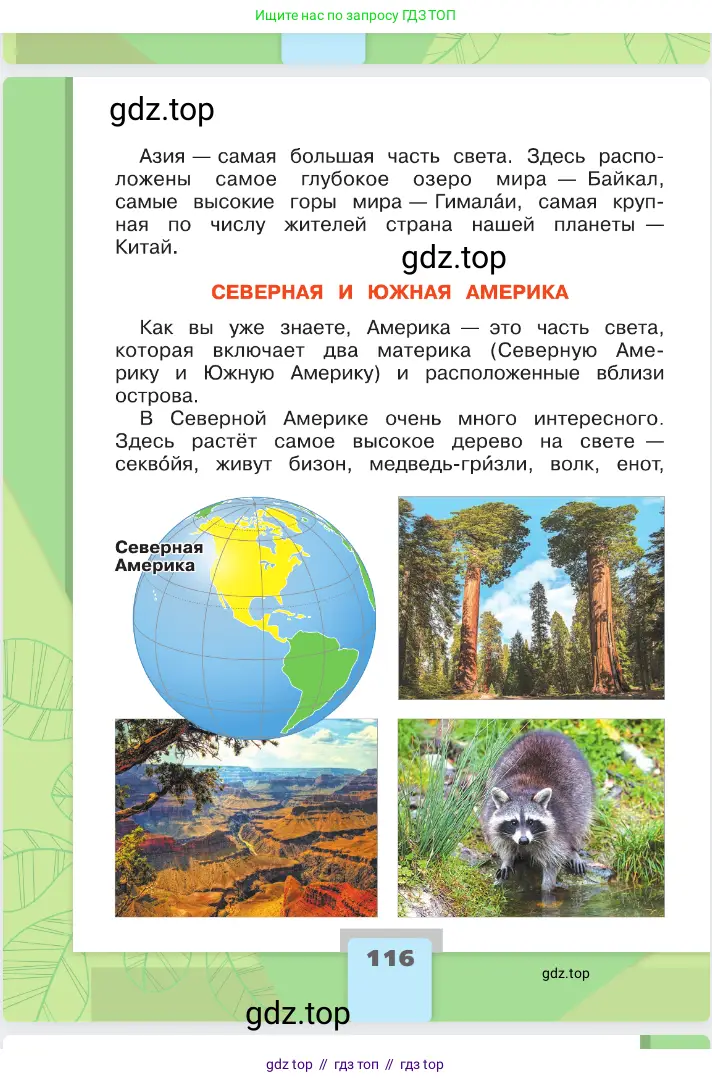 Окружающий мир, 2 класс Учебник, автор: Плешаков Андрей Анатольевич, издательство Просвещение, Москва, 2023, белого цвета, страница 116