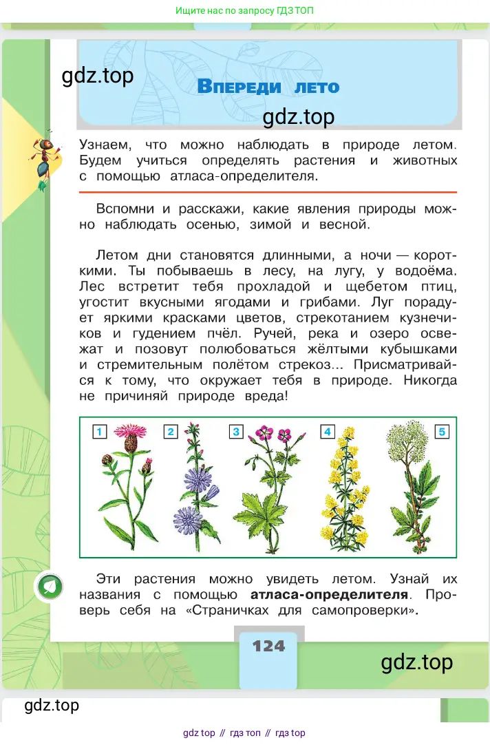 Окружающий мир, 2 класс Учебник, автор: Плешаков Андрей Анатольевич, издательство Просвещение, Москва, 2023, белого цвета, Часть 2, страница 124