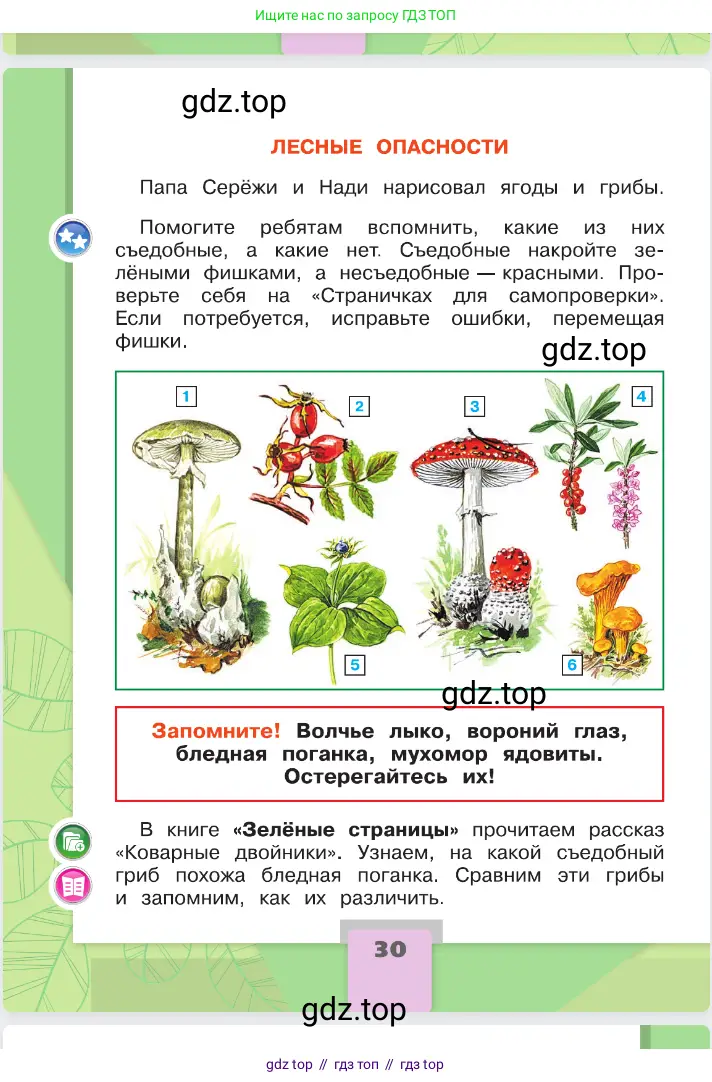 Окружающий мир, 2 класс Учебник, автор: Плешаков Андрей Анатольевич, издательство Просвещение, Москва, 2023, белого цвета, страница 30