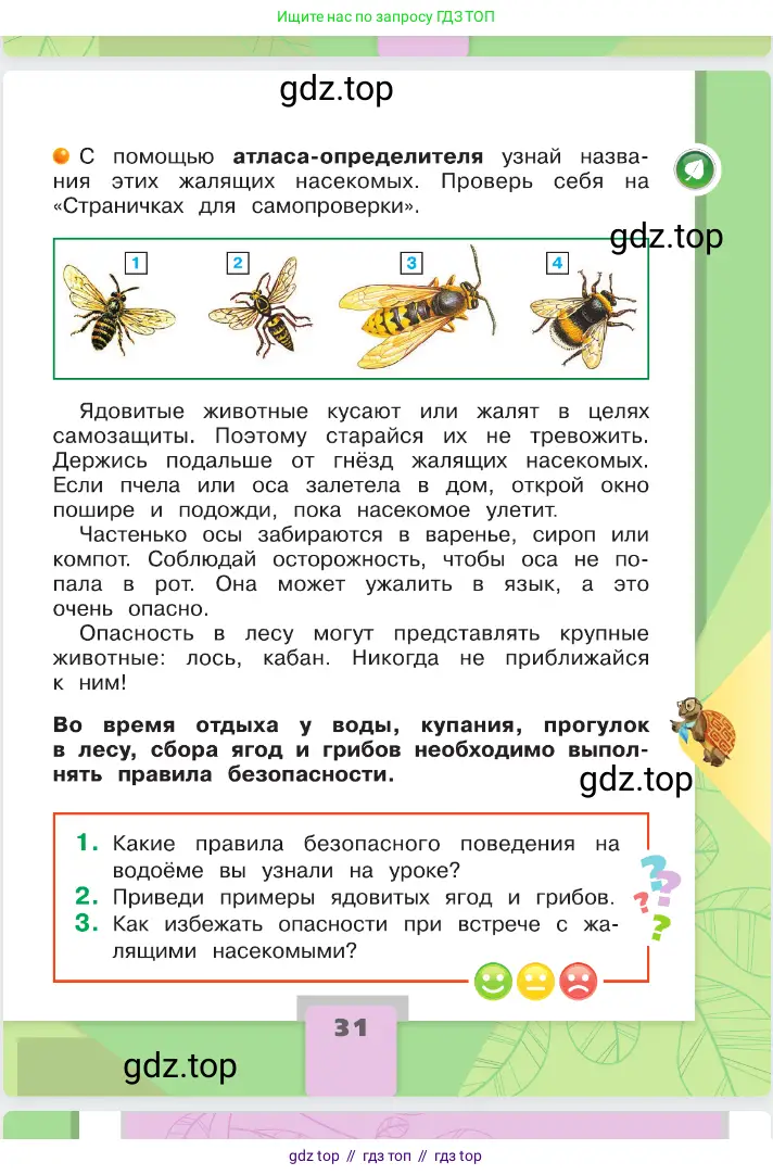 Окружающий мир, 2 класс Учебник, автор: Плешаков Андрей Анатольевич, издательство Просвещение, Москва, 2023, белого цвета, страница 31