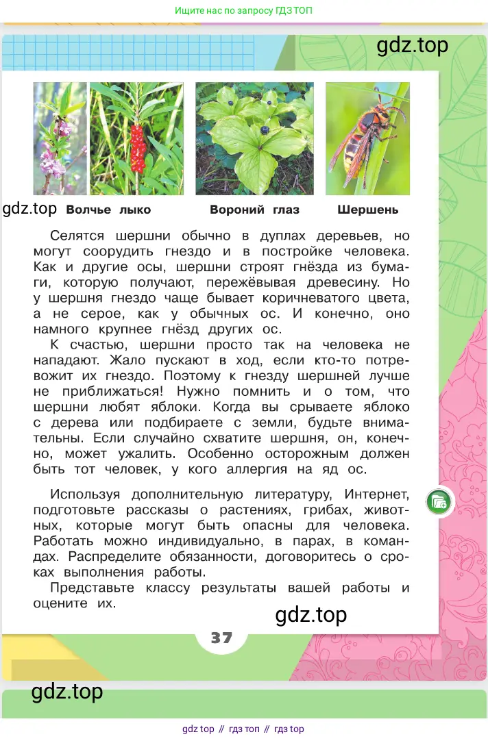 Окружающий мир, 2 класс Учебник, автор: Плешаков Андрей Анатольевич, издательство Просвещение, Москва, 2023, белого цвета, страница 37