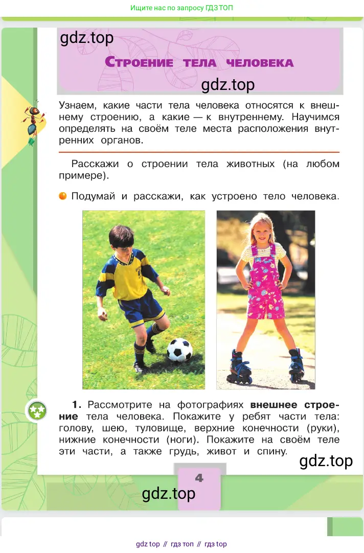 Окружающий мир, 2 класс Учебник, автор: Плешаков Андрей Анатольевич, издательство Просвещение, Москва, 2023, белого цвета, Часть 2, страница 4