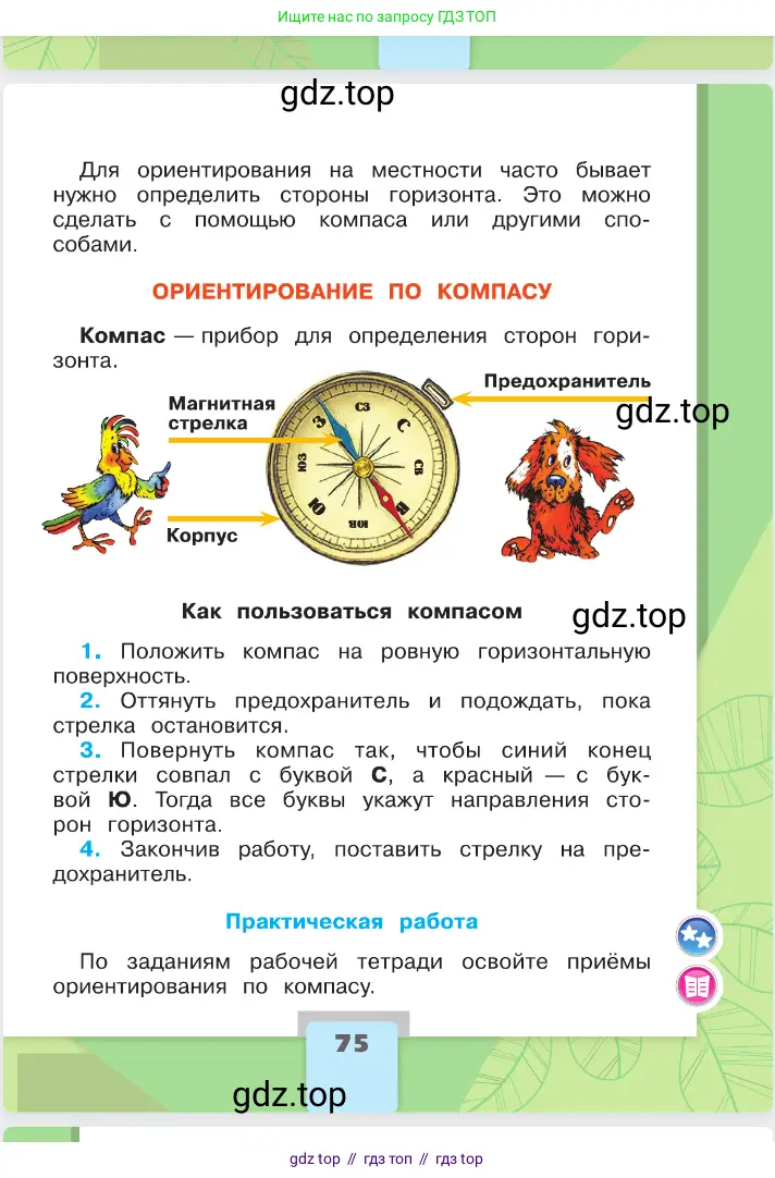 Окружающий мир, 2 класс Учебник, автор: Плешаков Андрей Анатольевич, издательство Просвещение, Москва, 2023, белого цвета, страница 75