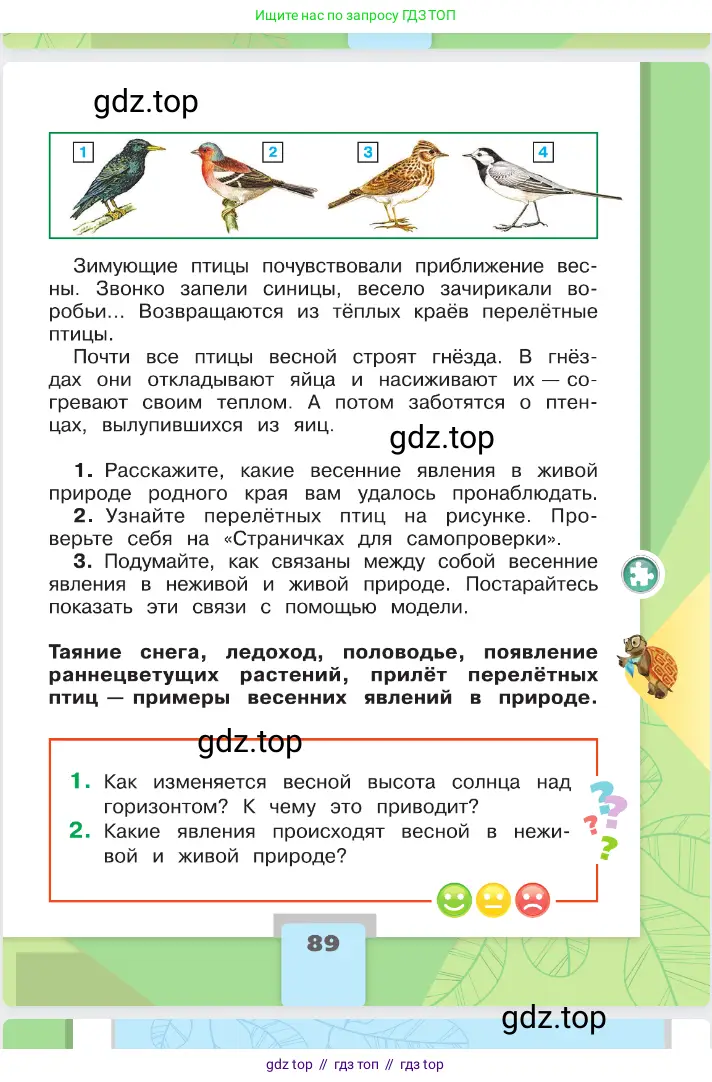 Окружающий мир, 2 класс Учебник, автор: Плешаков Андрей Анатольевич, издательство Просвещение, Москва, 2023, белого цвета, страница 89