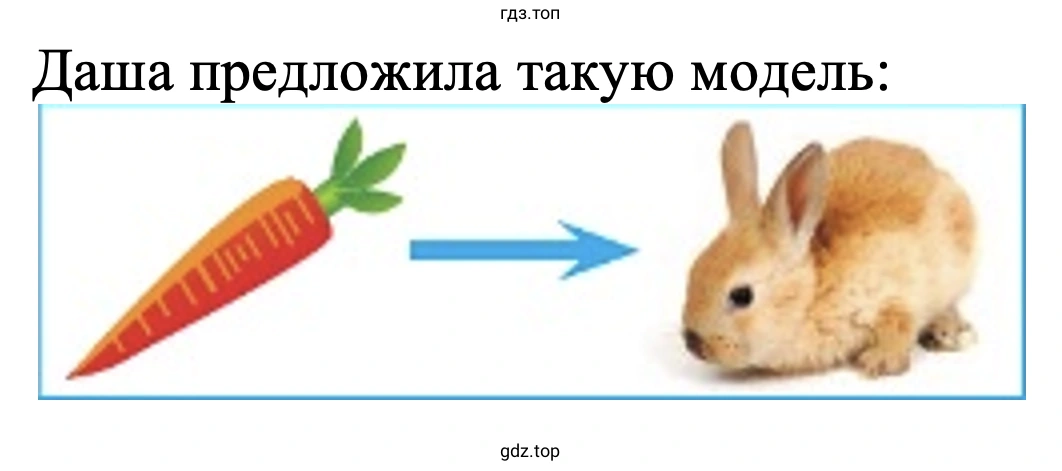 Даша предложила такую модель
