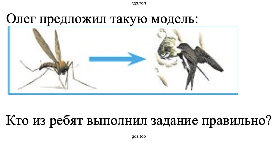 Олег предложил такую модель