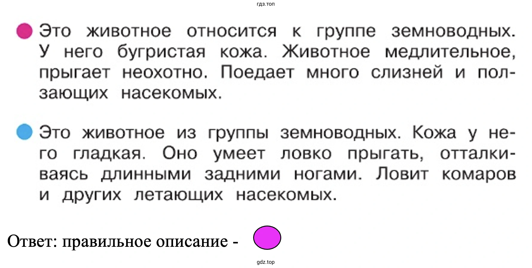 Выбери описание лягушки