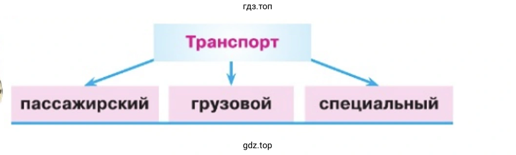 Транспорт пассажирский грузовой специальный