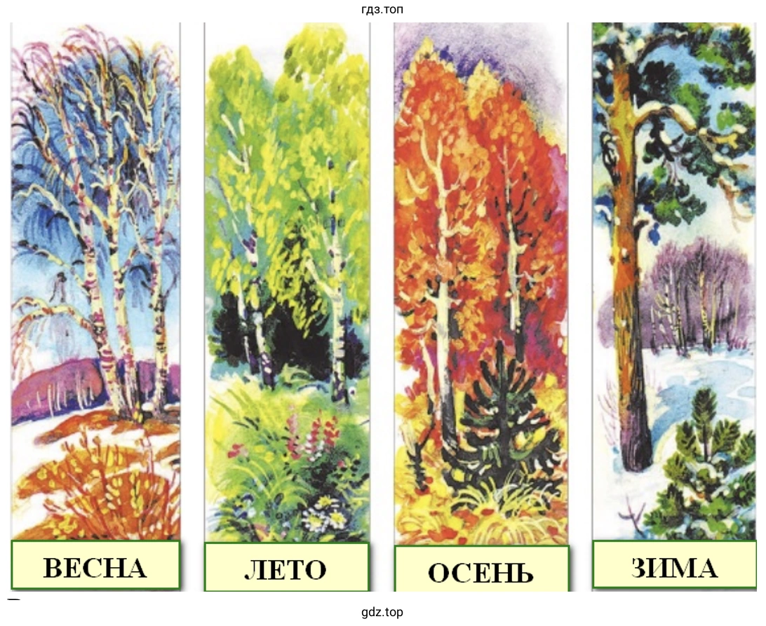 ВЕСНА ЛЕТО ОСЕНЬ ЗИМА