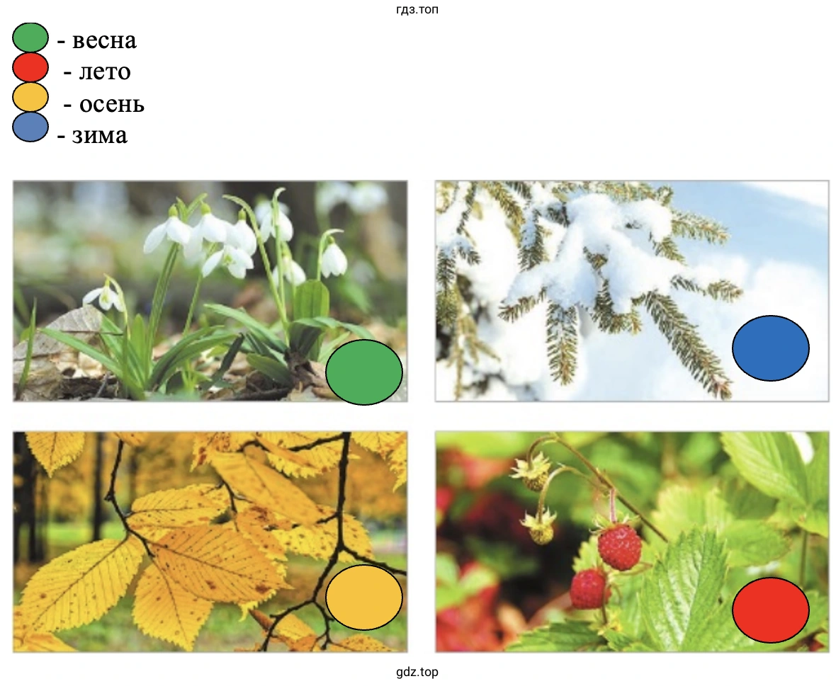 весна лето осень зима