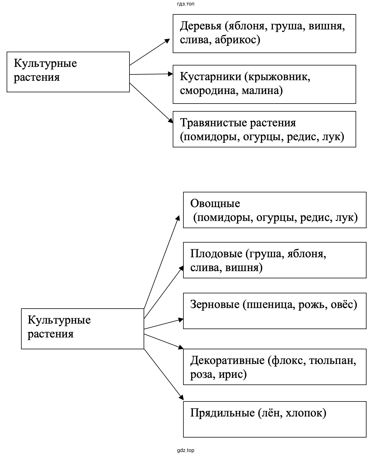 Культурные растения