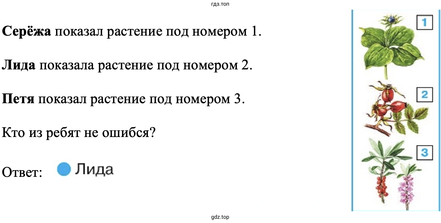 съедобное растение