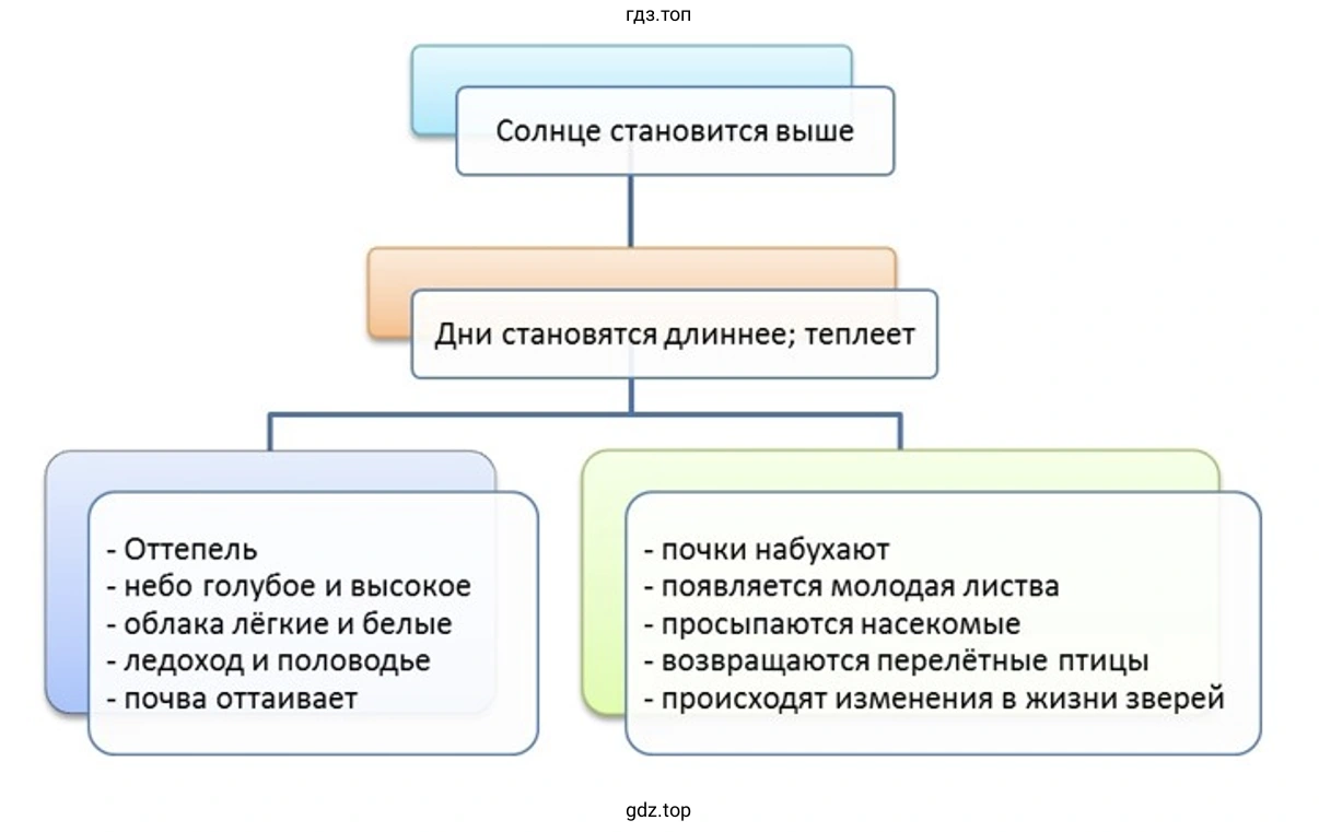 Подумайте, как связаны между собой весенние явления в неживой и живой природе