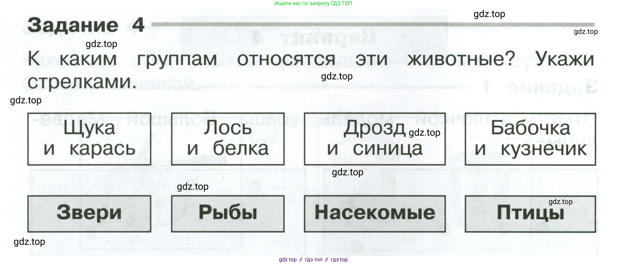Окружающий мир, 2 класс Проверочные работы, авторы: Плешаков Андрей Анатольевич, Плешаков С А, издательство Просвещение, Москва, 2023, белого цвета, страница 12, номер 4, Условие