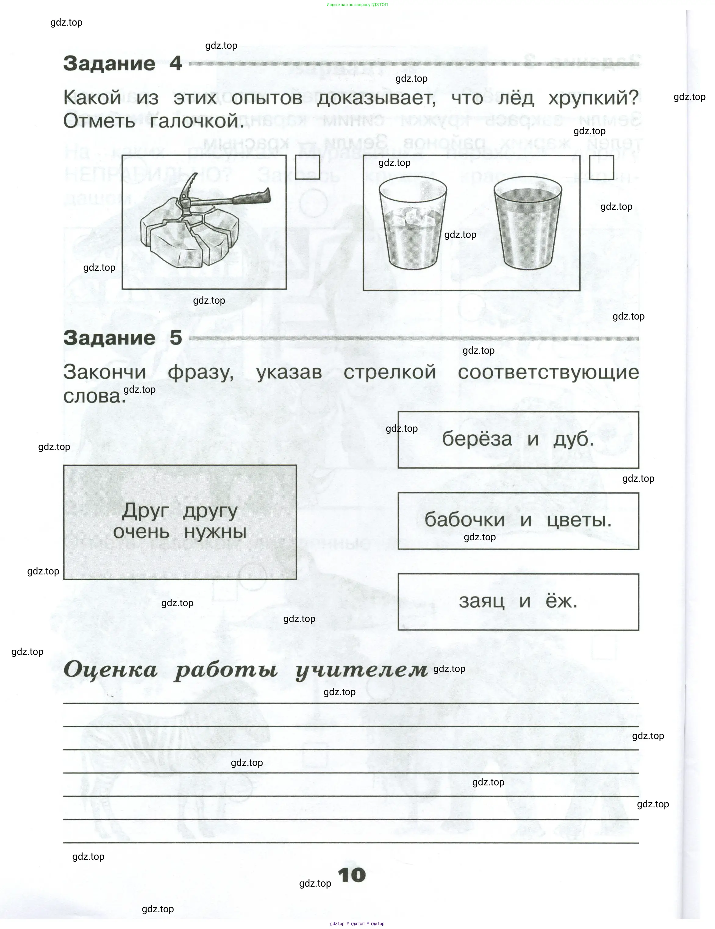 Окружающий мир, 2 класс Проверочные работы, авторы: Плешаков Андрей Анатольевич, Плешаков С А, издательство Просвещение, Москва, 2023, белого цвета, страница 10