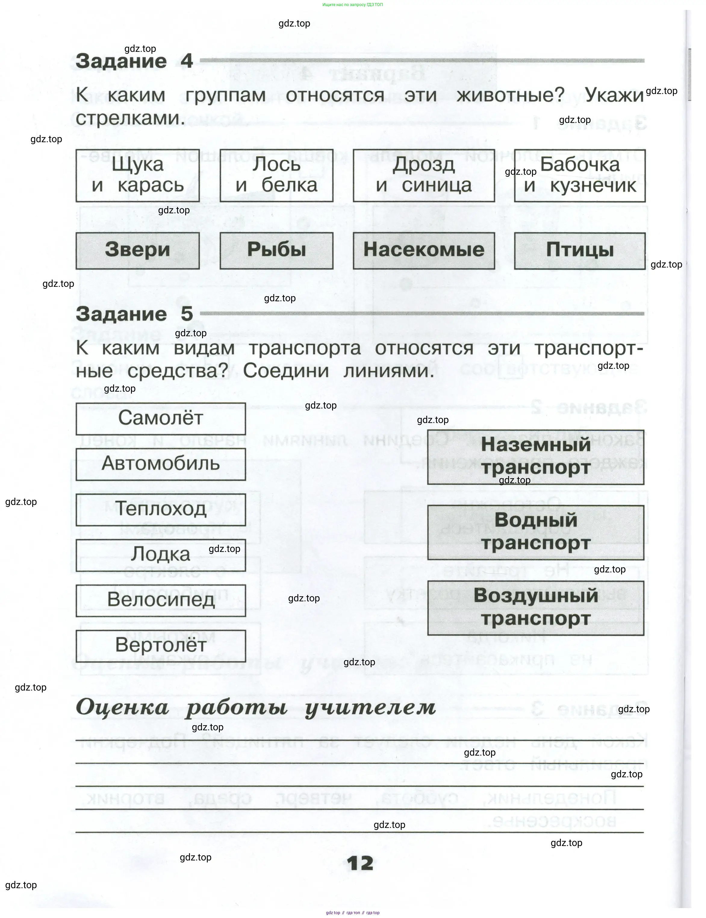 Окружающий мир, 2 класс Проверочные работы, авторы: Плешаков Андрей Анатольевич, Плешаков С А, издательство Просвещение, Москва, 2023, белого цвета, страница 12