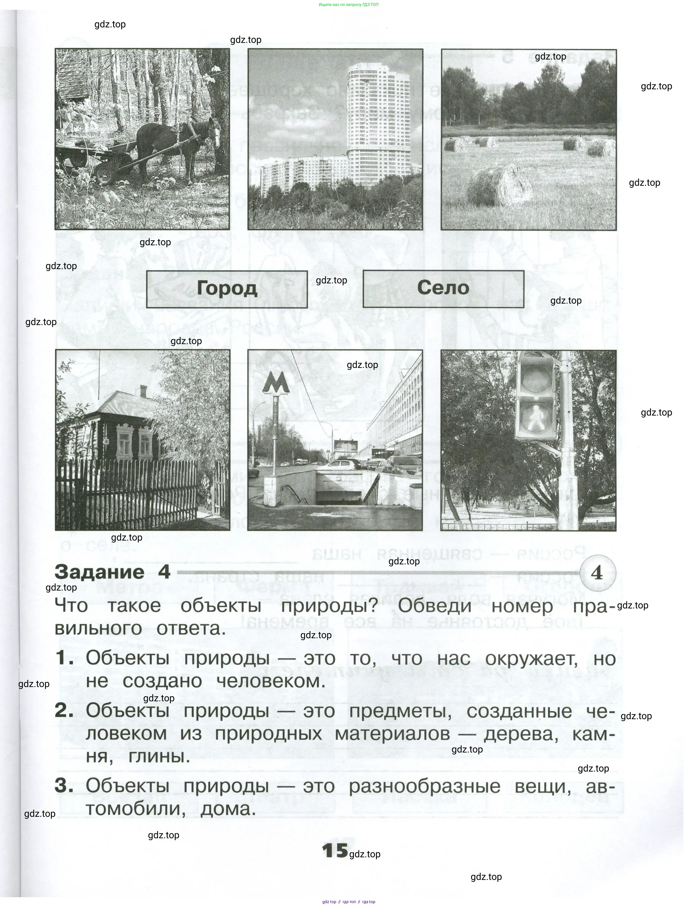 Окружающий мир, 2 класс Проверочные работы, авторы: Плешаков Андрей Анатольевич, Плешаков С А, издательство Просвещение, Москва, 2023, белого цвета, страница 15