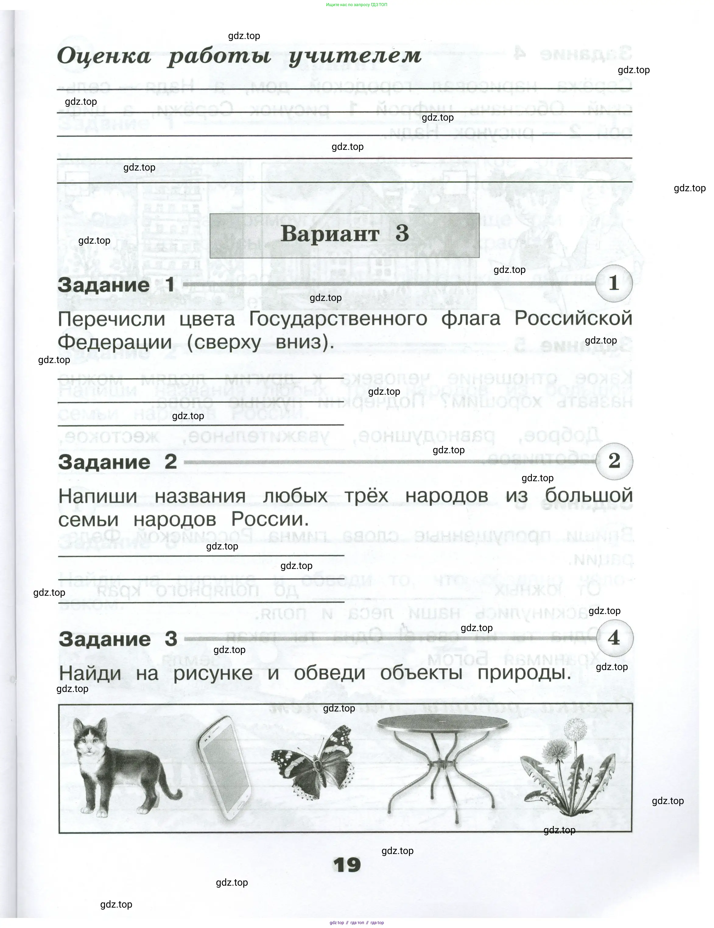 Окружающий мир, 2 класс Проверочные работы, авторы: Плешаков Андрей Анатольевич, Плешаков С А, издательство Просвещение, Москва, 2023, белого цвета, страница 19